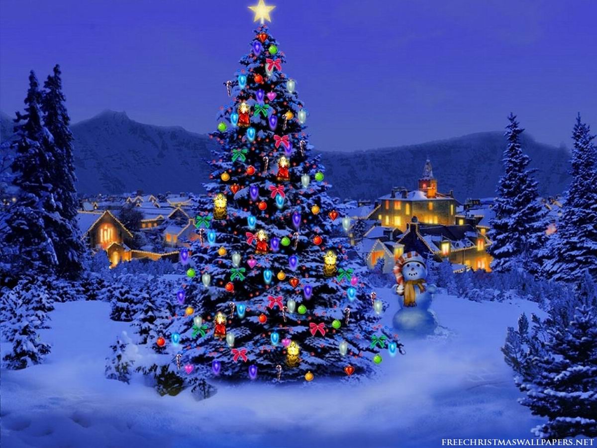 Christmas Tree Background - HD Wallpaper 