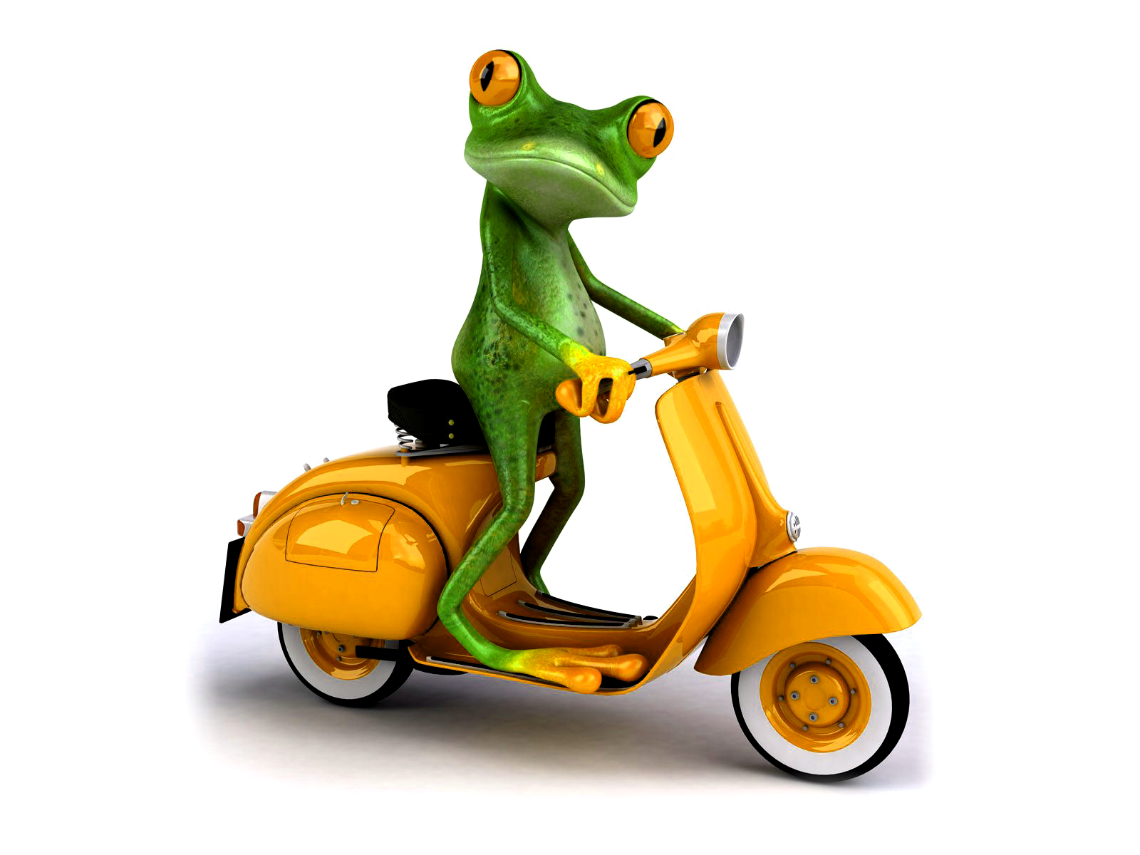 Free Desktop Wallpaper 3d Animated Picserio - Frog Funny - HD Wallpaper 