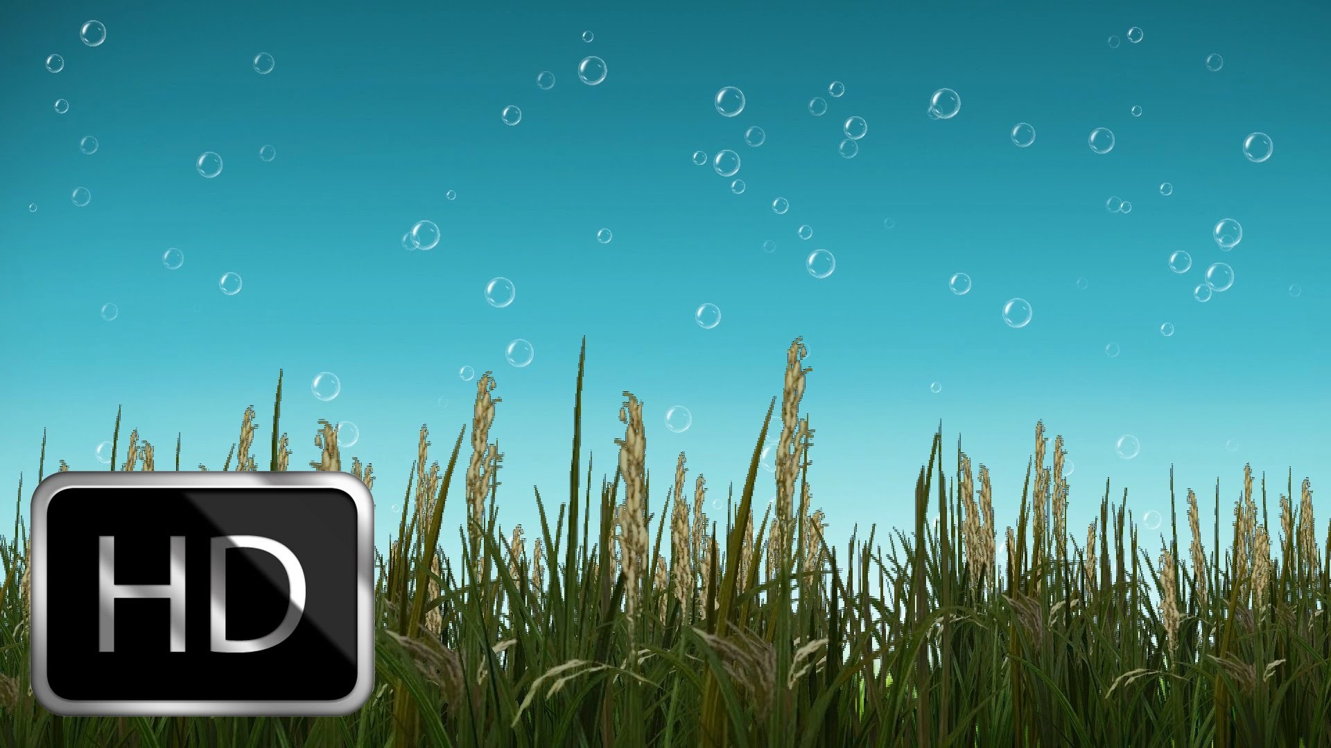 Free Nature Motion Background With Beautiful Bubbles - Nature Background  Pictures Animated - 1920x1080 Wallpaper 