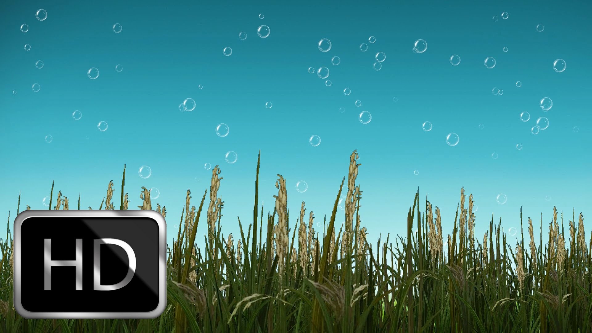 Free Nature Motion Background With Beautiful Bubbles - Nature Background Pictures Animated - 1920x1080 Wallpaper Free Nature Motion Background With Beautiful Bubbles - Nature Background Pictures Animated - 1920x1080 Wallpaper