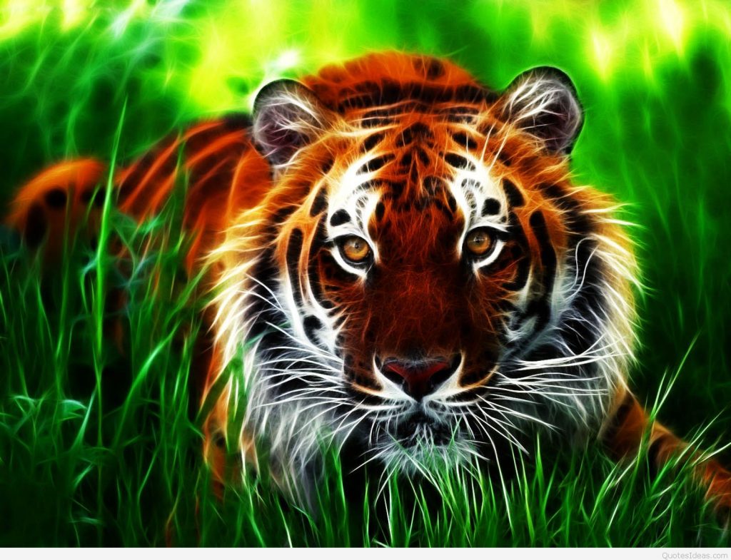 D Moving Background For Desktop Wallpaper Pic Hwb22999 - Tiger With Indian Flag - HD Wallpaper 