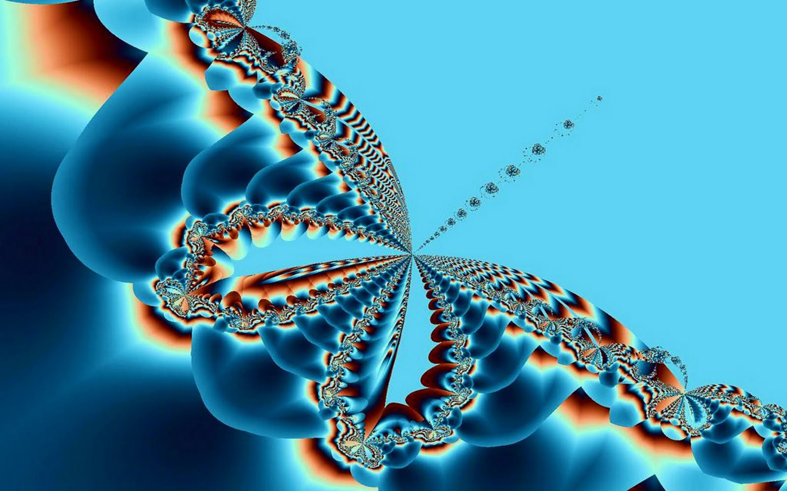 Animated Butterfly Images Hd - 1600x1000 Wallpaper Animated Butterfly Images Hd - 1600x1000 Wallpaper