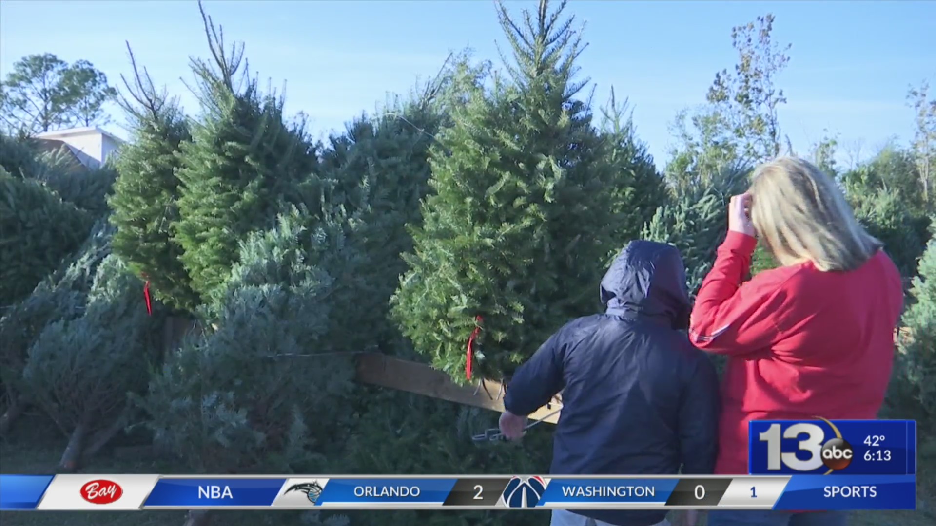 Christmas Tree - HD Wallpaper 