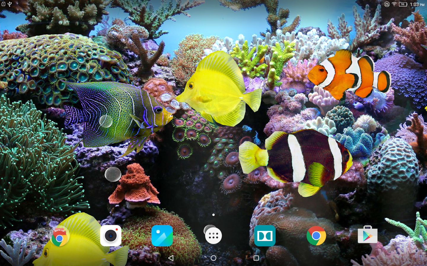 3d Motion Wallpaper - 3d Wallpaper Fish Download - 1440x900 Wallpaper -  