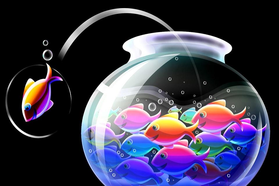 3d Fish Moving Wallpaper For Computer - Bubbles New Wallpaper Download - HD Wallpaper 