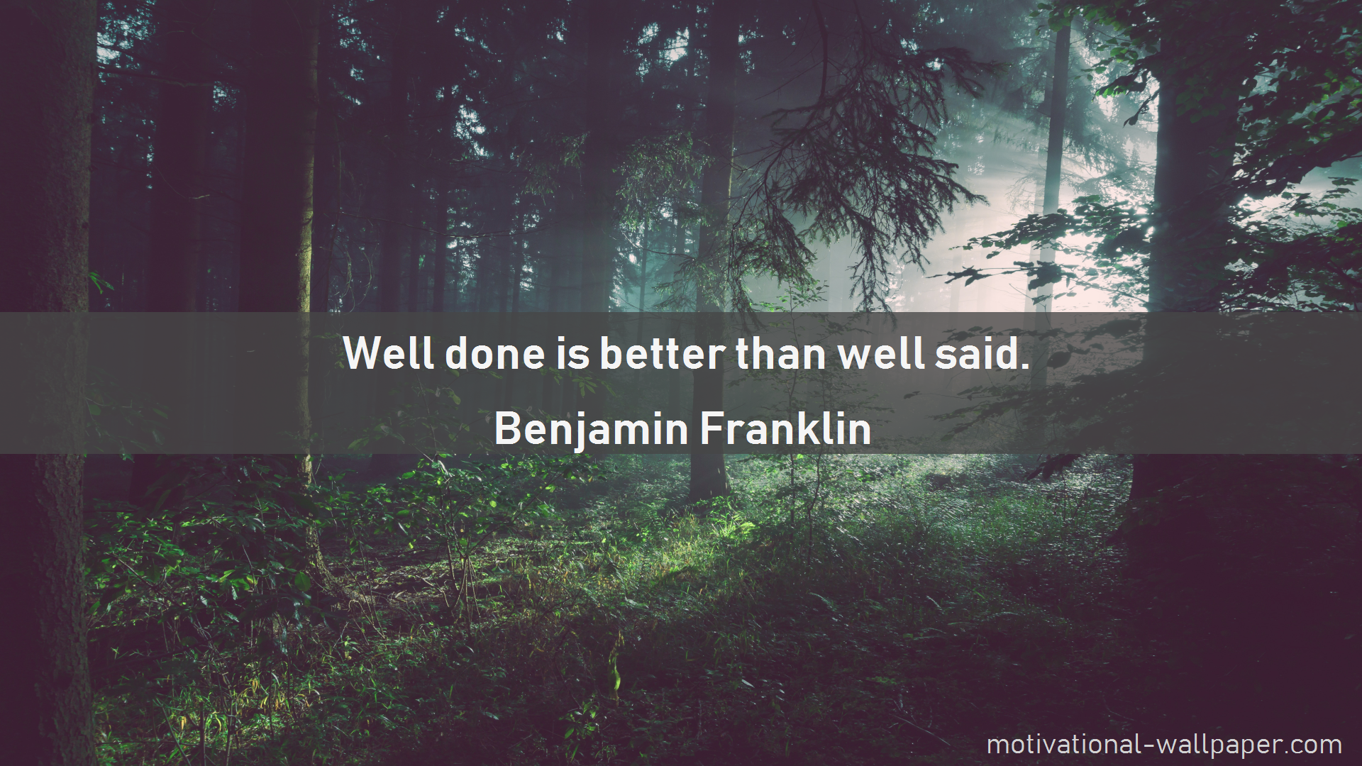 Alone In A Forest - HD Wallpaper 