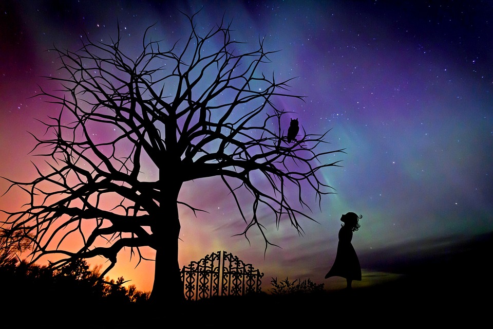 Girl With Owl In Tree At Night - HD Wallpaper 