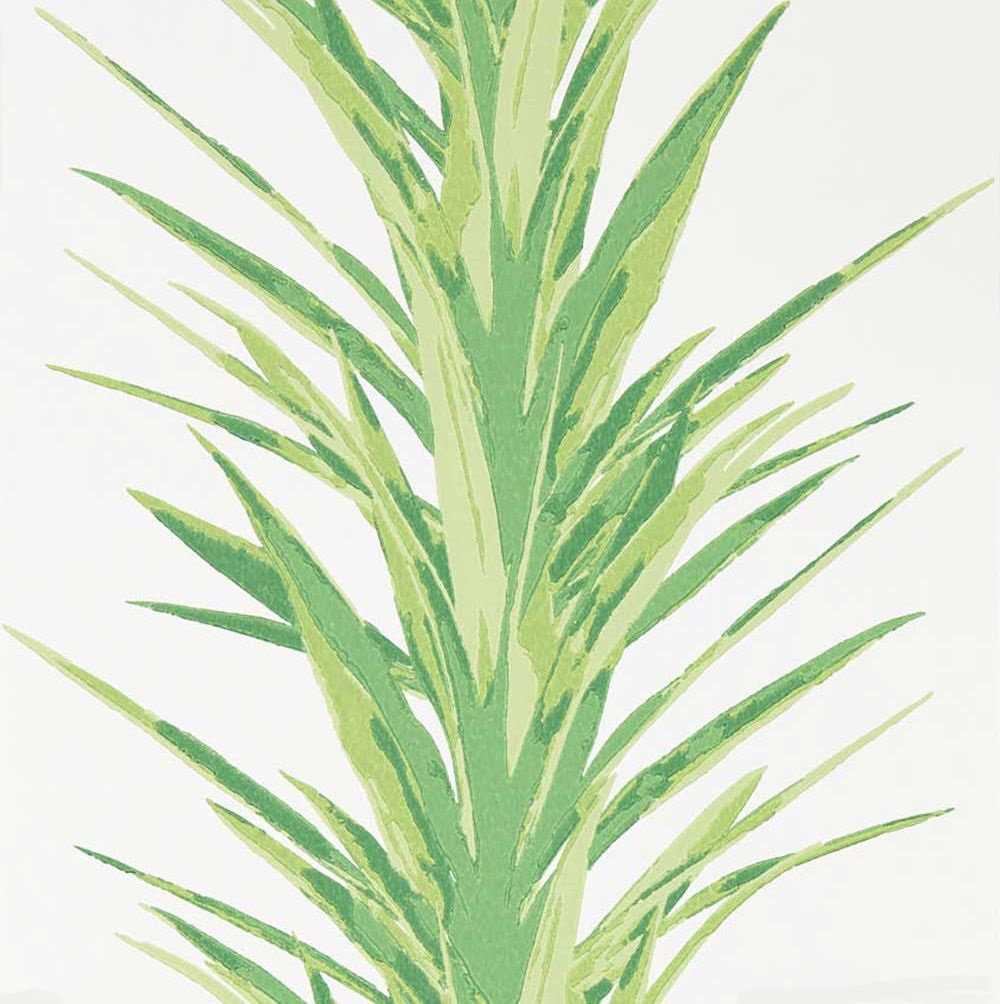 Wallpaper - HD Wallpaper 