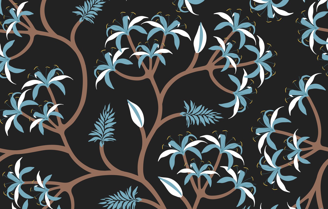 Photo Wallpaper Background, Black, Flower, Blue, Black, - Diseños De Papel Tapiz - HD Wallpaper 