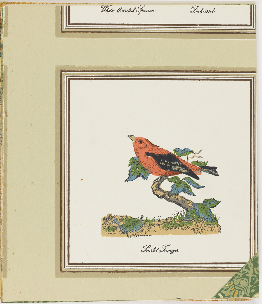 These Designs Are Based On Objects Within The Smithsonian - Nightingale - HD Wallpaper 