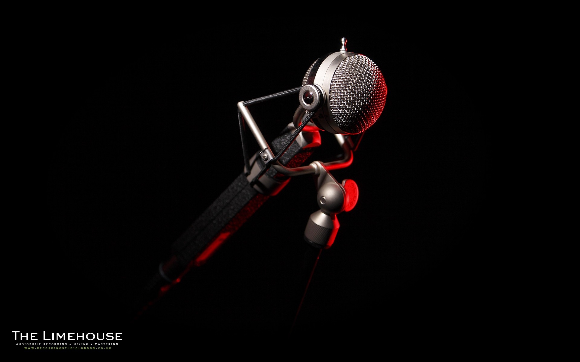 Macro Photography - HD Wallpaper 