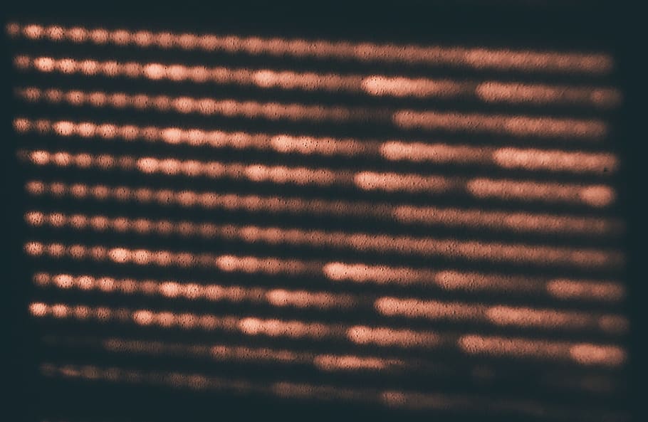 Rug, Home Decor, Text, Texture, Plant, Finch, Animal, - HD Wallpaper 