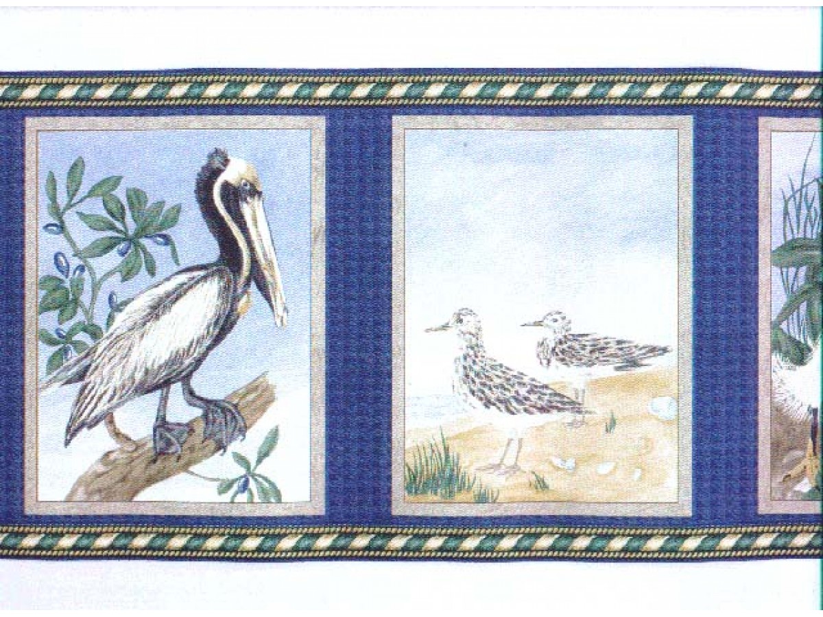 Pelican - HD Wallpaper 