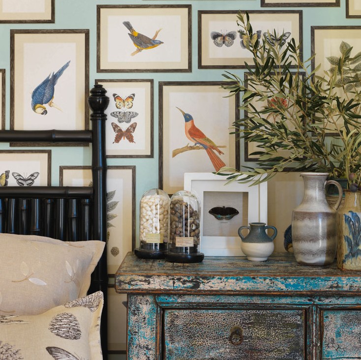 Bird Prints - Sanderson Voyage Of Discovery - HD Wallpaper 