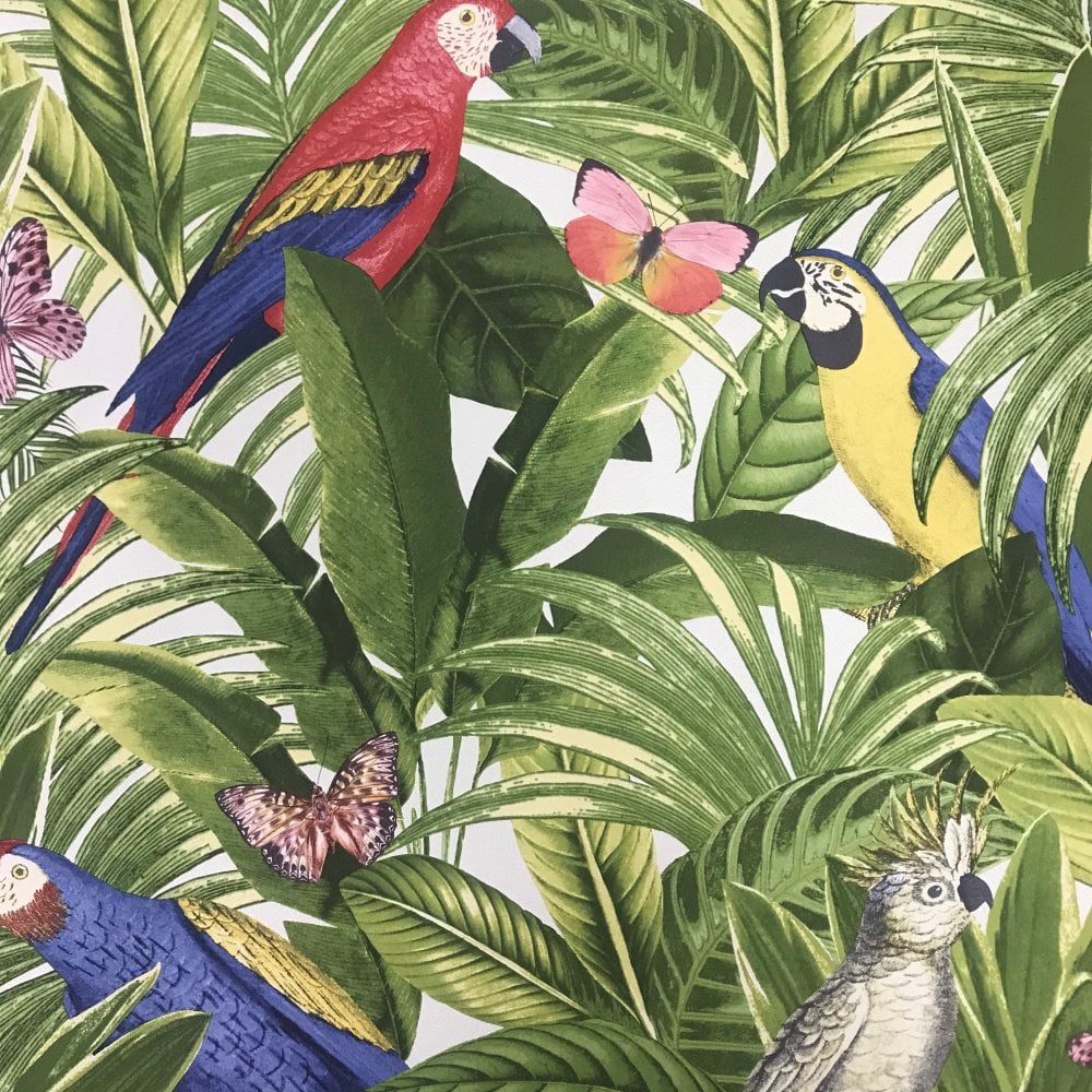 Carta Da Parati Giungla - HD Wallpaper 