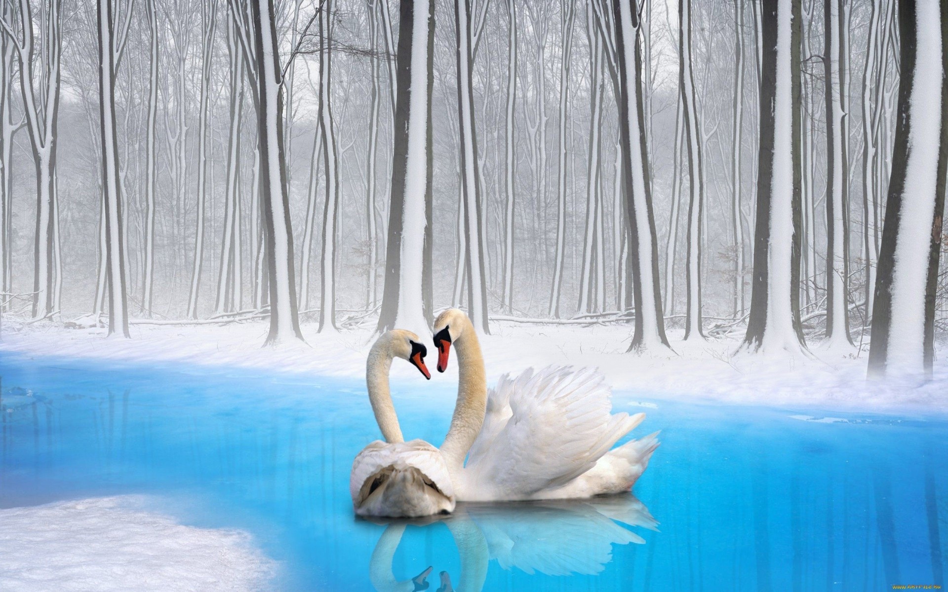 Winter Birds Hd - HD Wallpaper 