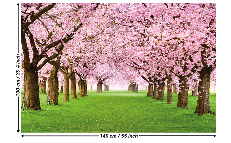 Cherry Tree Forest - HD Wallpaper 