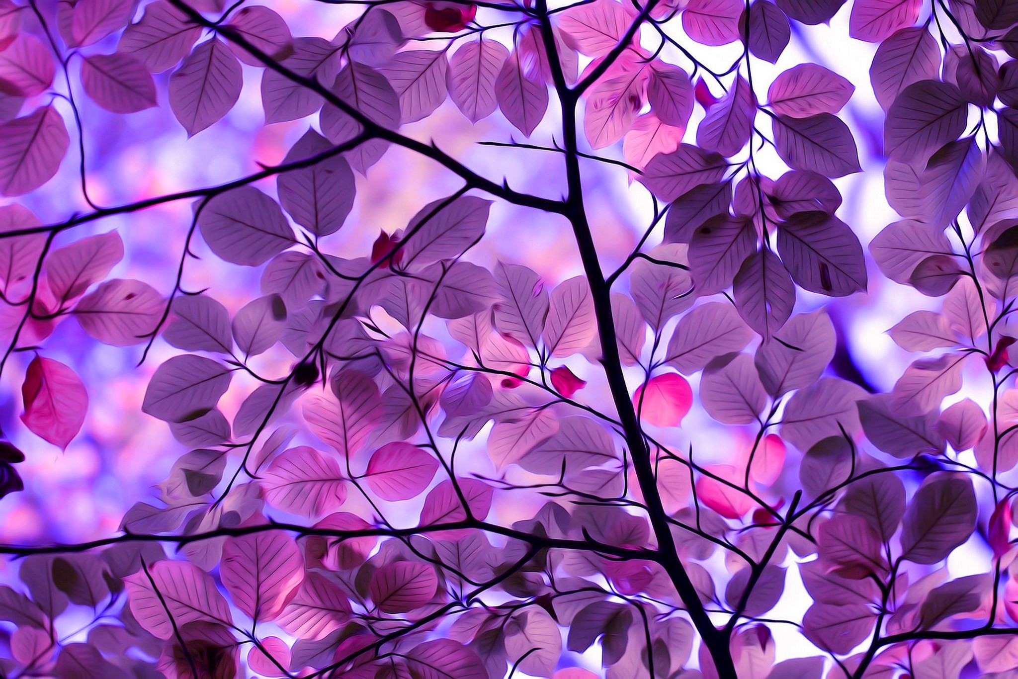 Fantasy Field With Purple Tree Computer Wallpapers - Purple Wallpaper Desktop - HD Wallpaper 
