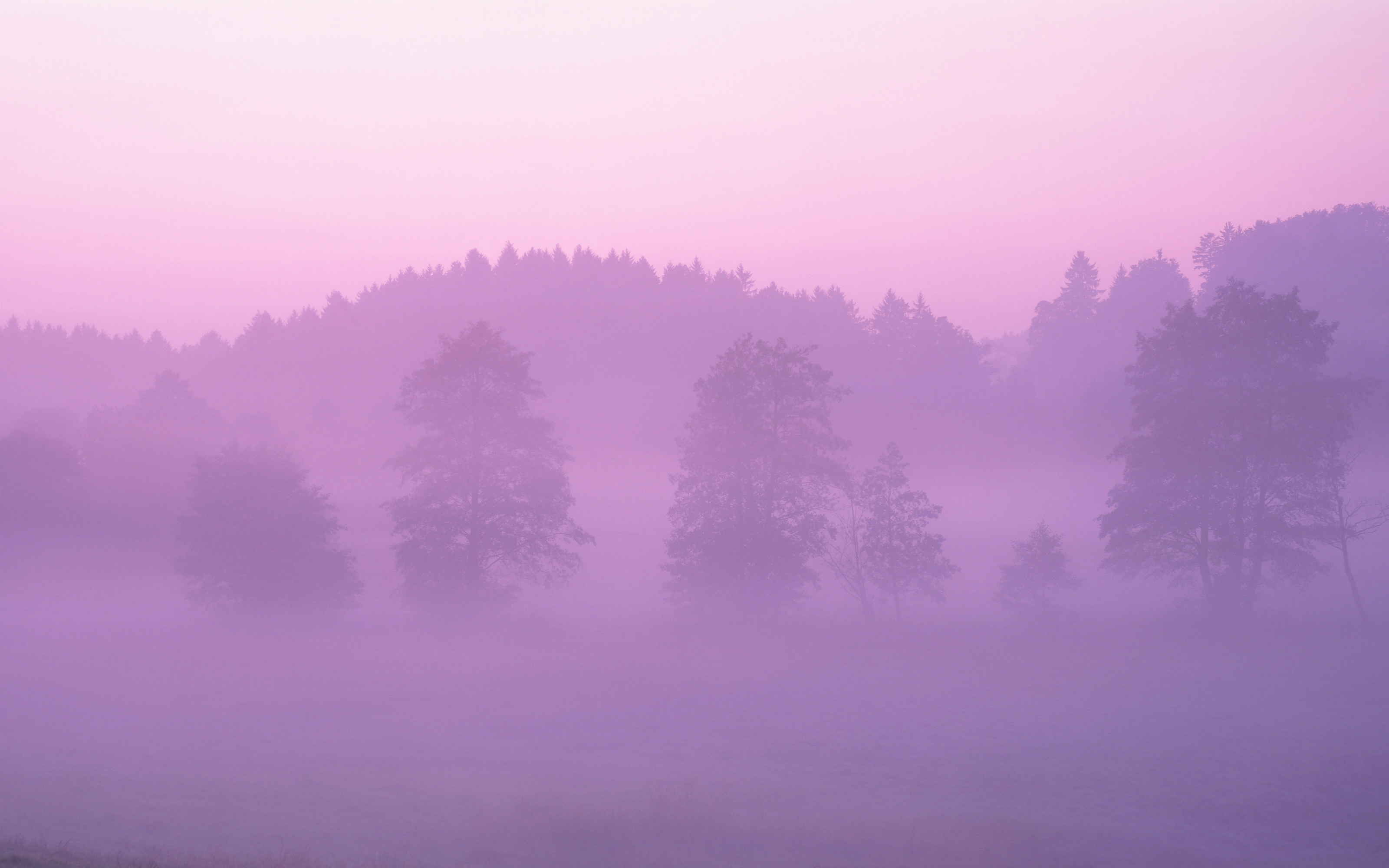 Pink Forest Apple Mac Osx Lion Wallpapers - Apple 壁紙 Pinkforest - HD Wallpaper 