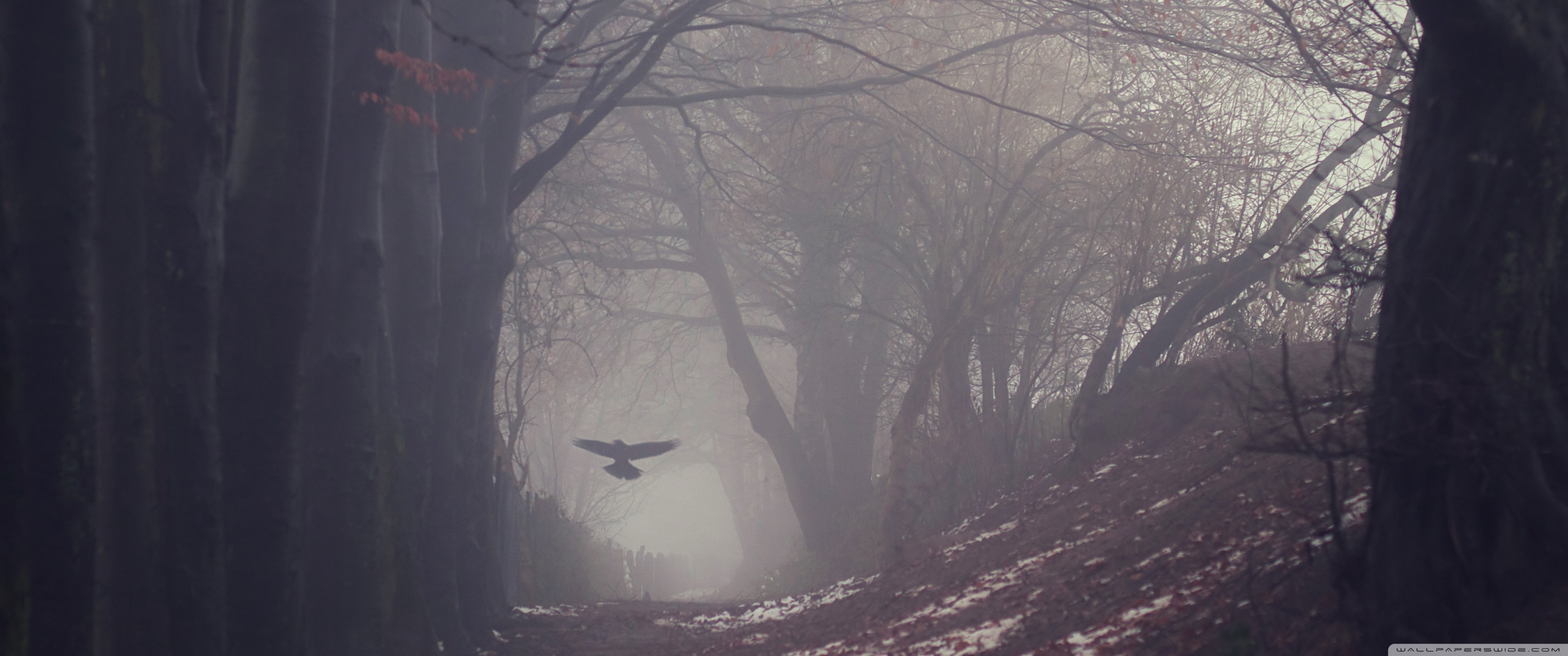 Gloomy Winter Background - HD Wallpaper 