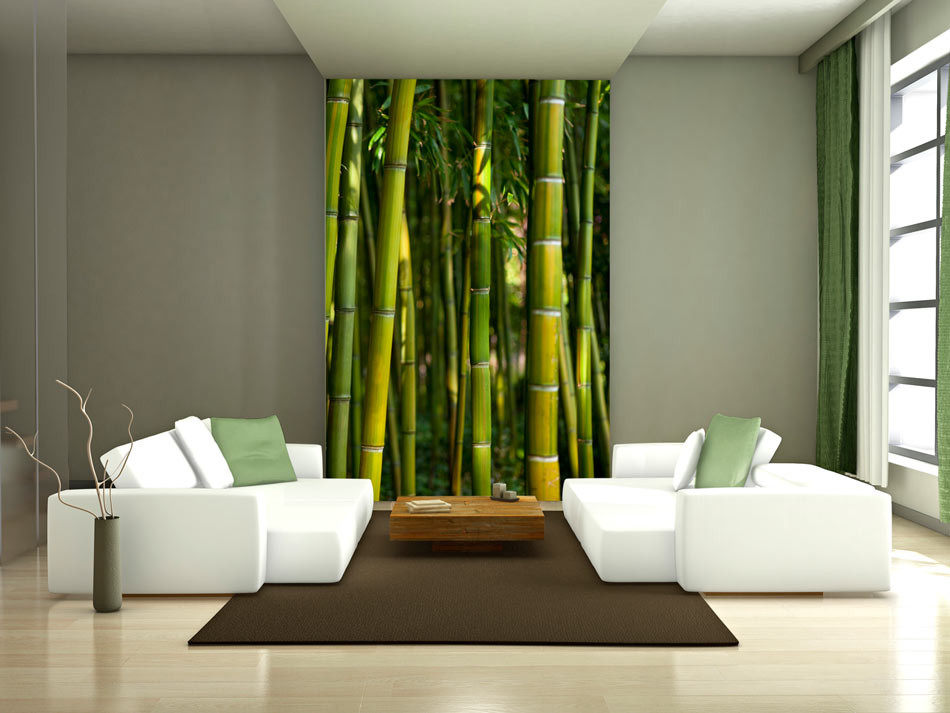 Wall Mural Asian Bamboo Forest - Papier Peint Forêt De Bambou - HD Wallpaper 