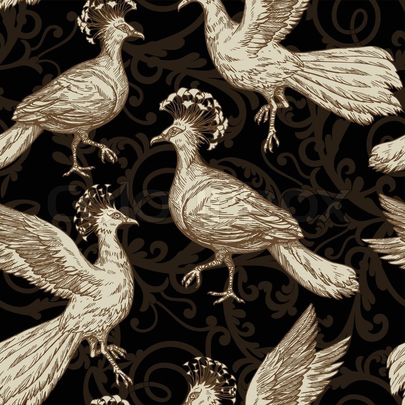 Antique Birds - 800x800 Wallpaper - teahub.io