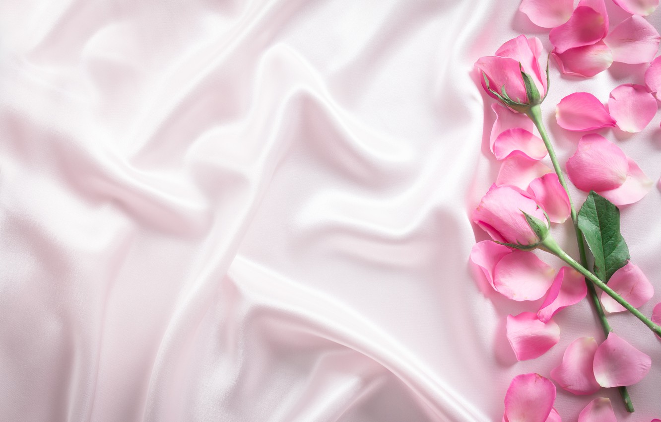 Photo Wallpaper Flowers, Roses, Petals, Silk, Pink, - Roses Petal On Soft Pink Silk - HD Wallpaper 
