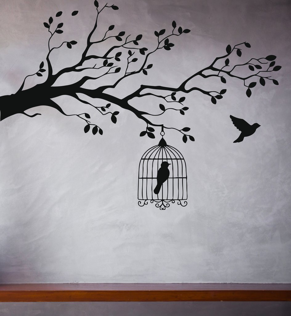 Free Bird And Caged Bird - HD Wallpaper 