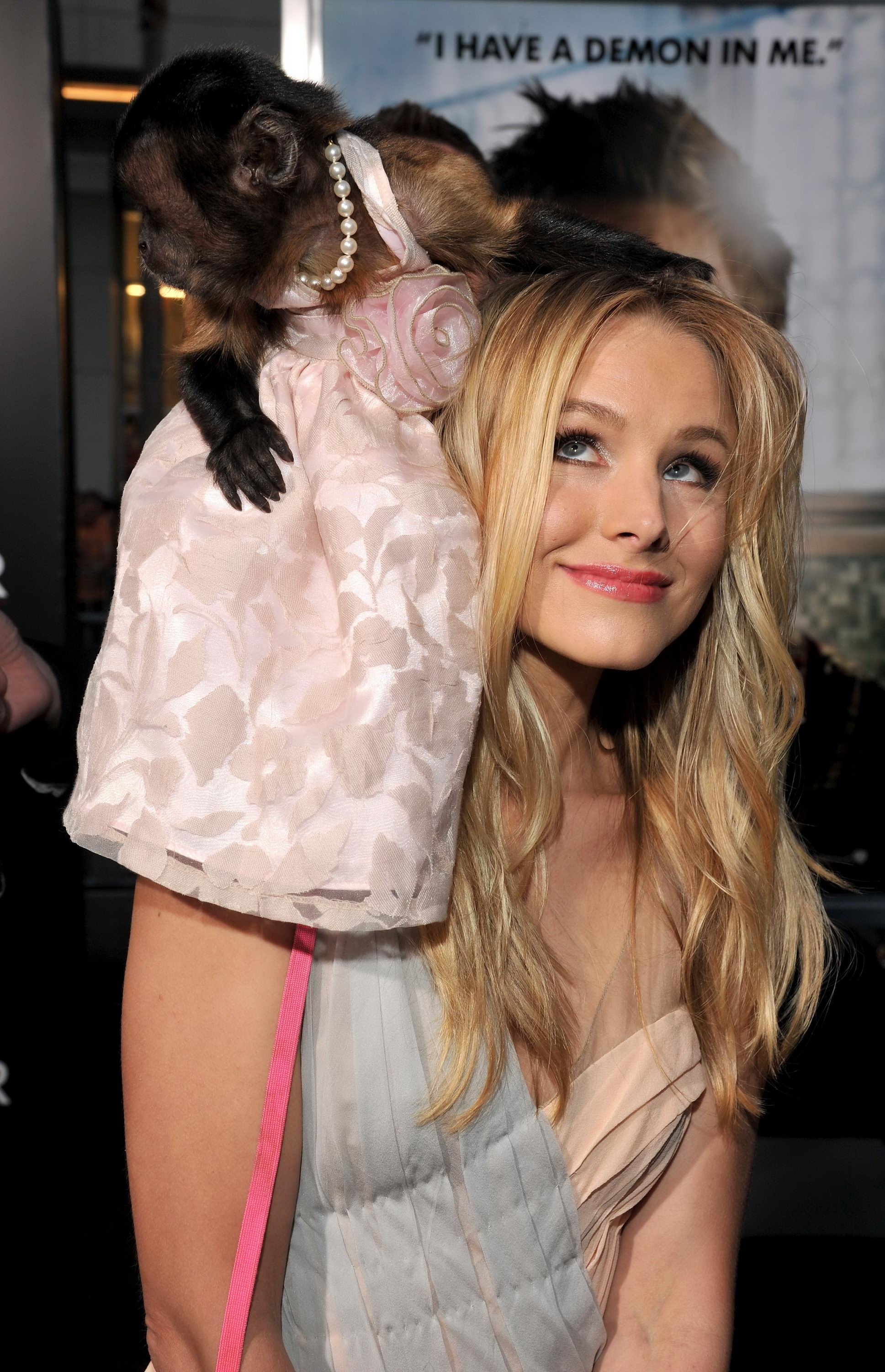 Monkeys And Blondes - HD Wallpaper 