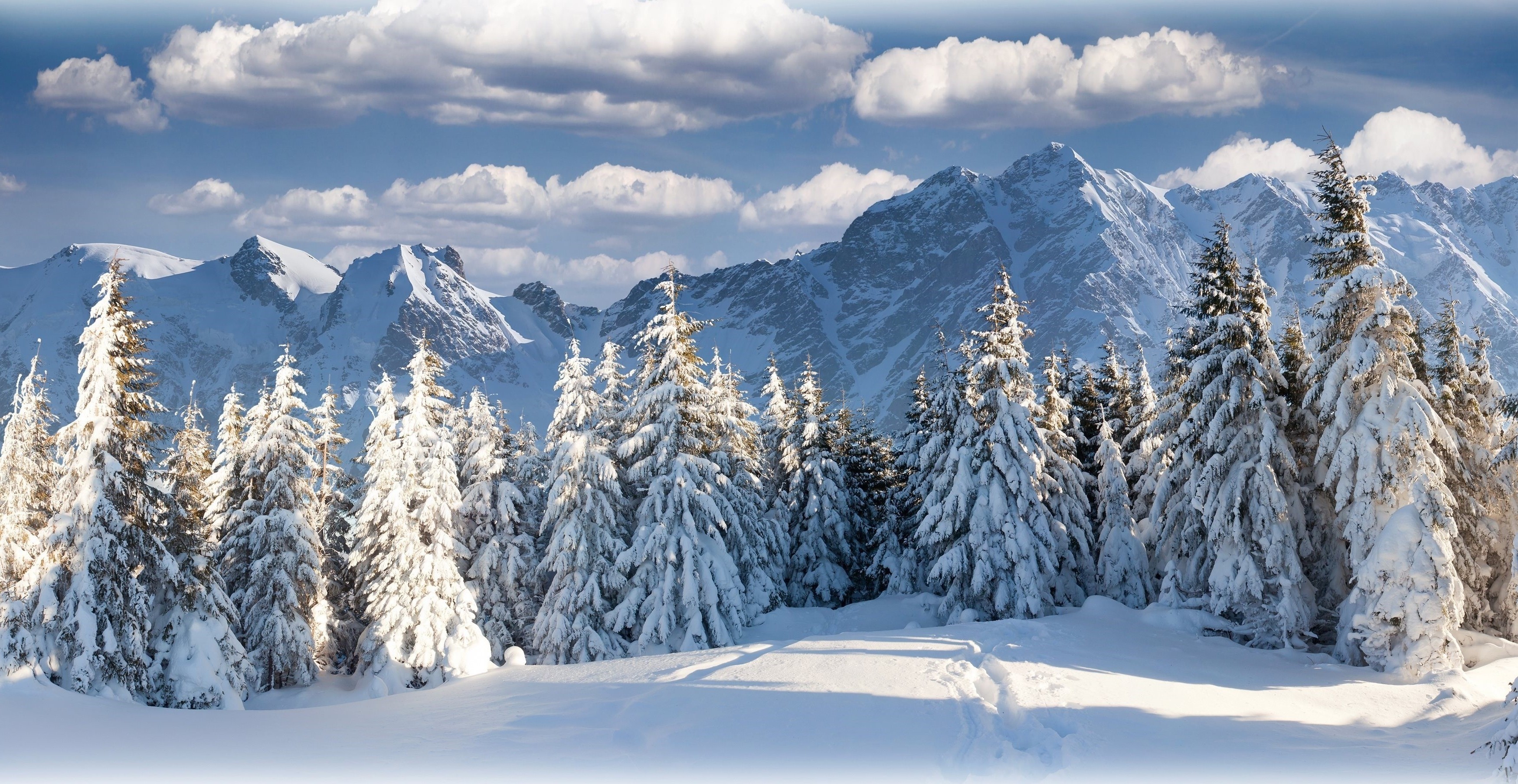 Snowy Mountain Tree Background - 3500x1808 Wallpaper 