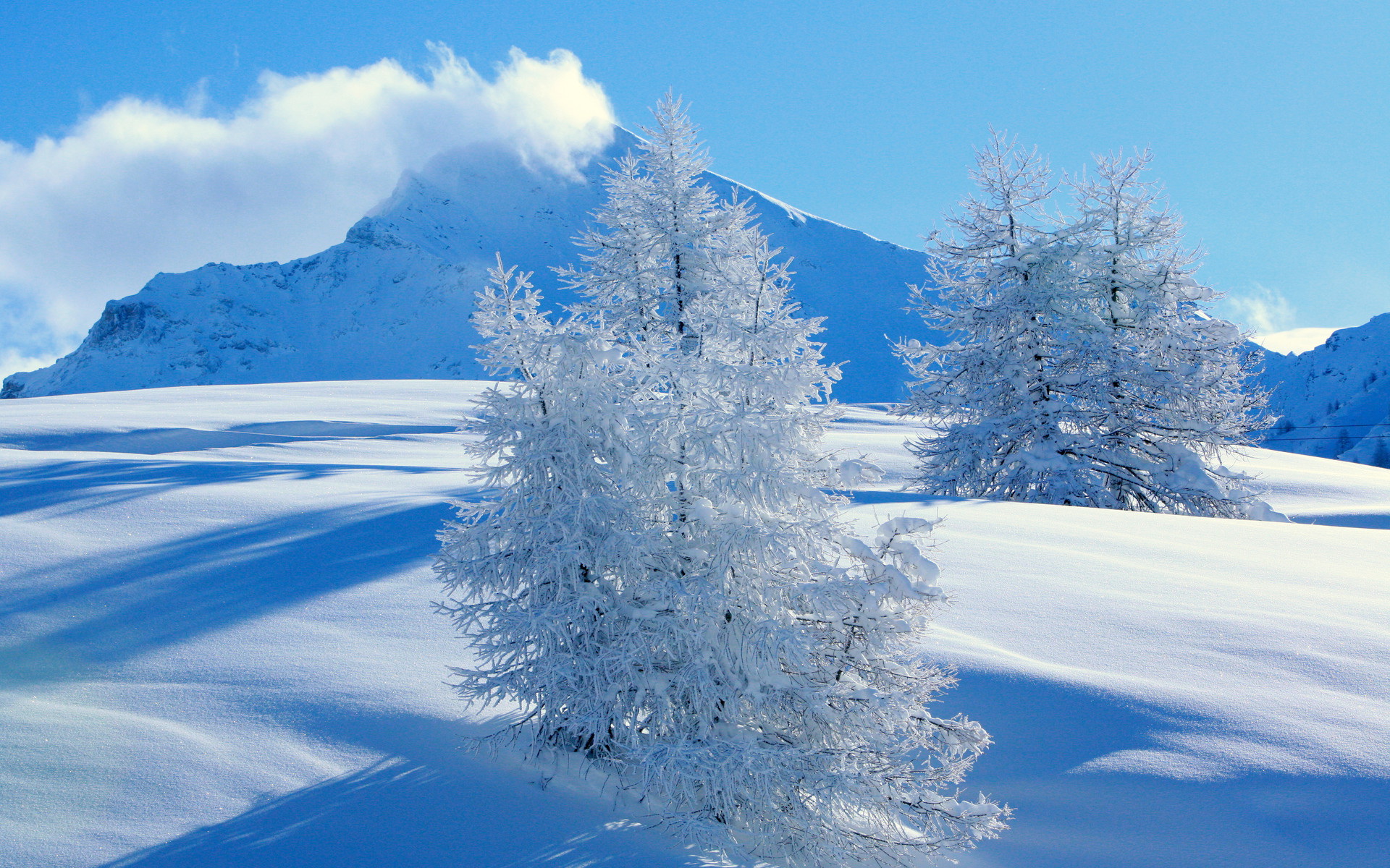 Landscape Wallpaper Snowy - HD Wallpaper 