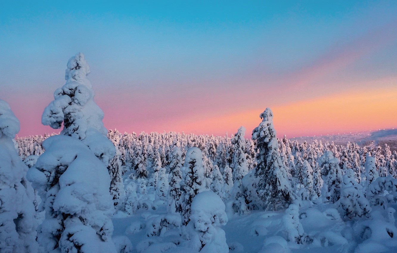 Photo Wallpaper Winter, The Sky, Clouds, Snow, Trees, - Iphone Xs Max Background - HD Wallpaper 