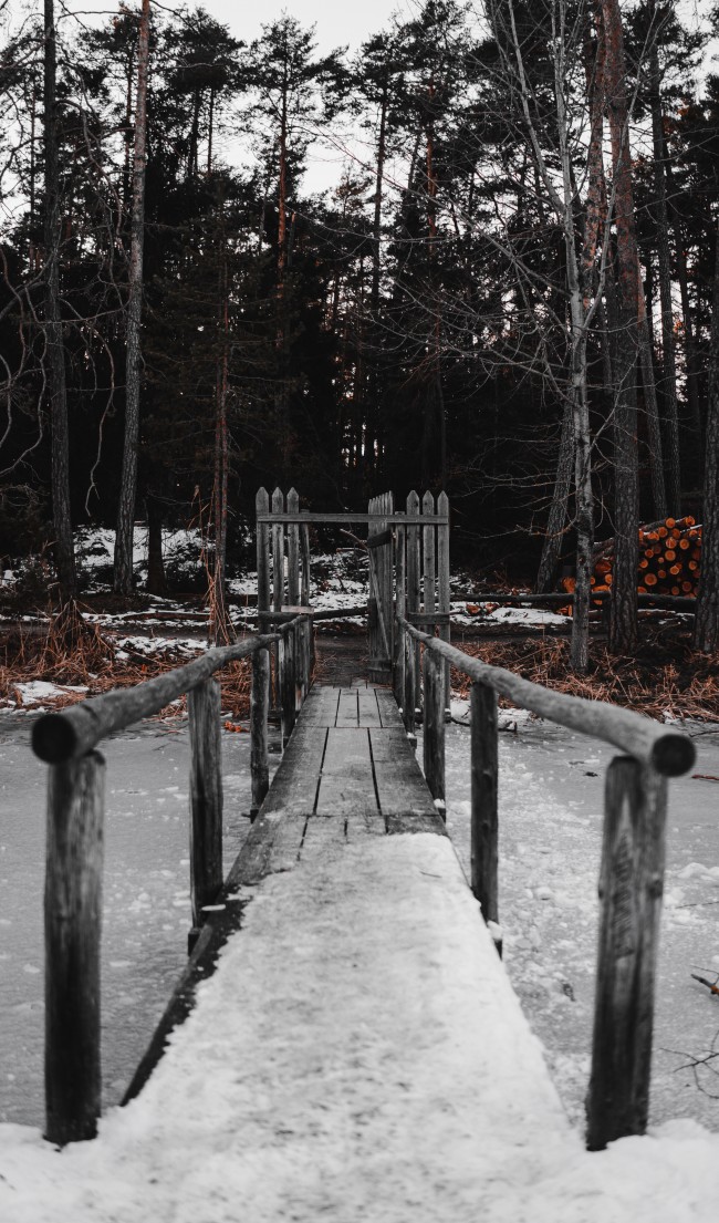 Wooden Bridge, Winter, Cold, Snow, Trees, Forest - Wallpaper - HD Wallpaper 