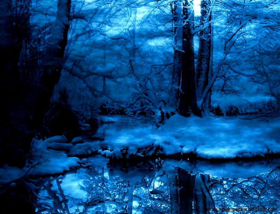 Snow Forest Wallpaper Wallpapersafari - Snow A Forest At Night - HD Wallpaper 