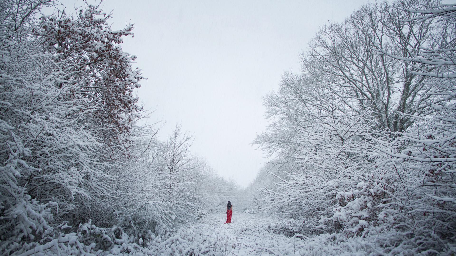 Snow - HD Wallpaper 