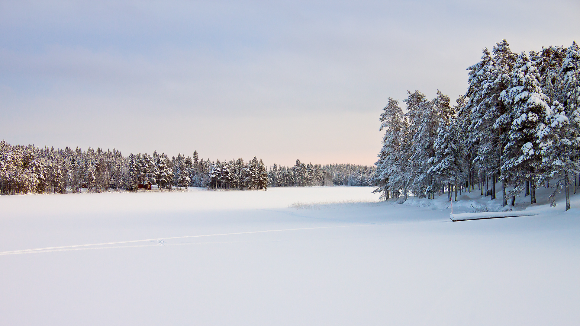 Snow Ground Wallpaper Hd - HD Wallpaper 