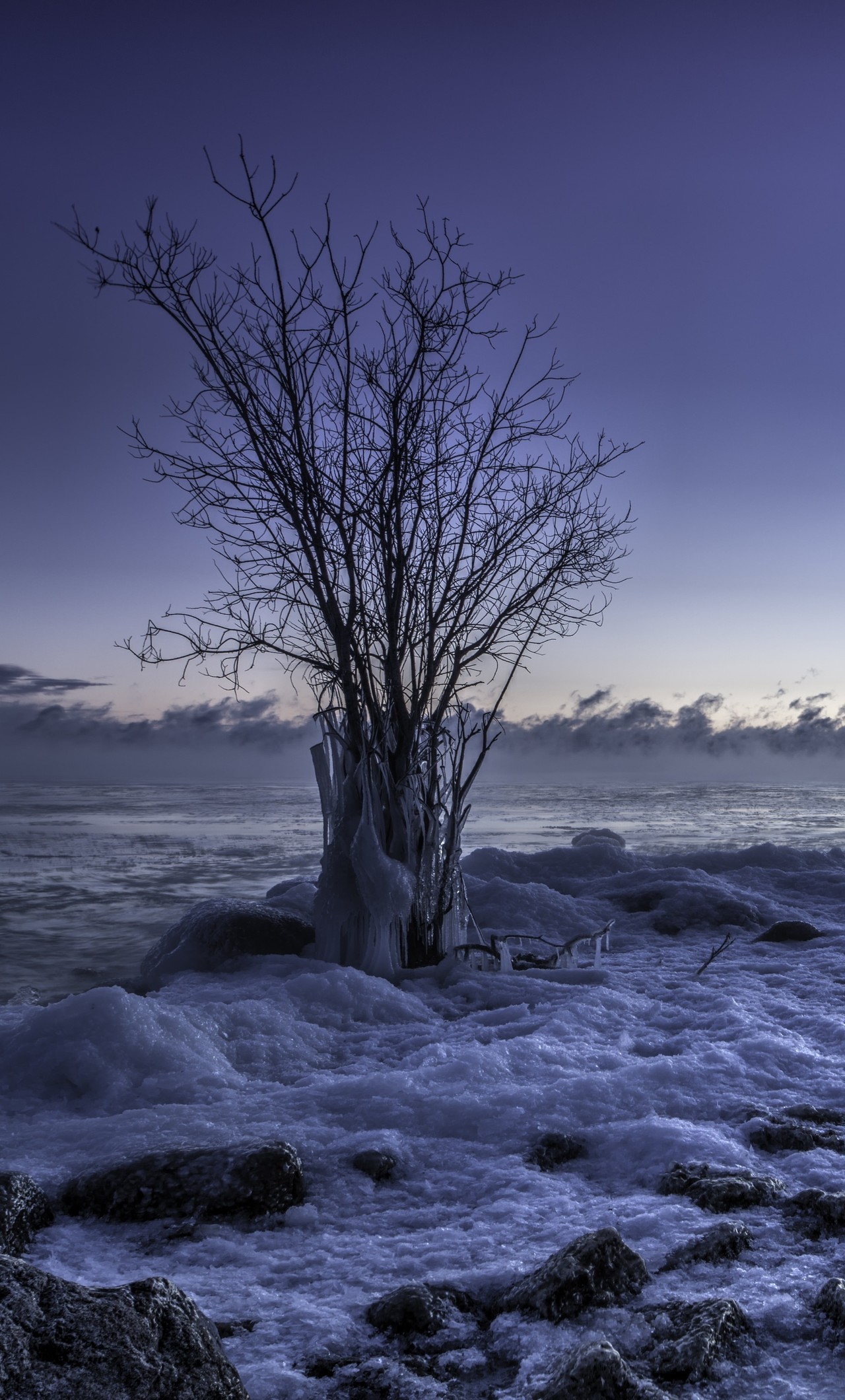 Frozen Landscape 2560 X 1440 - HD Wallpaper 