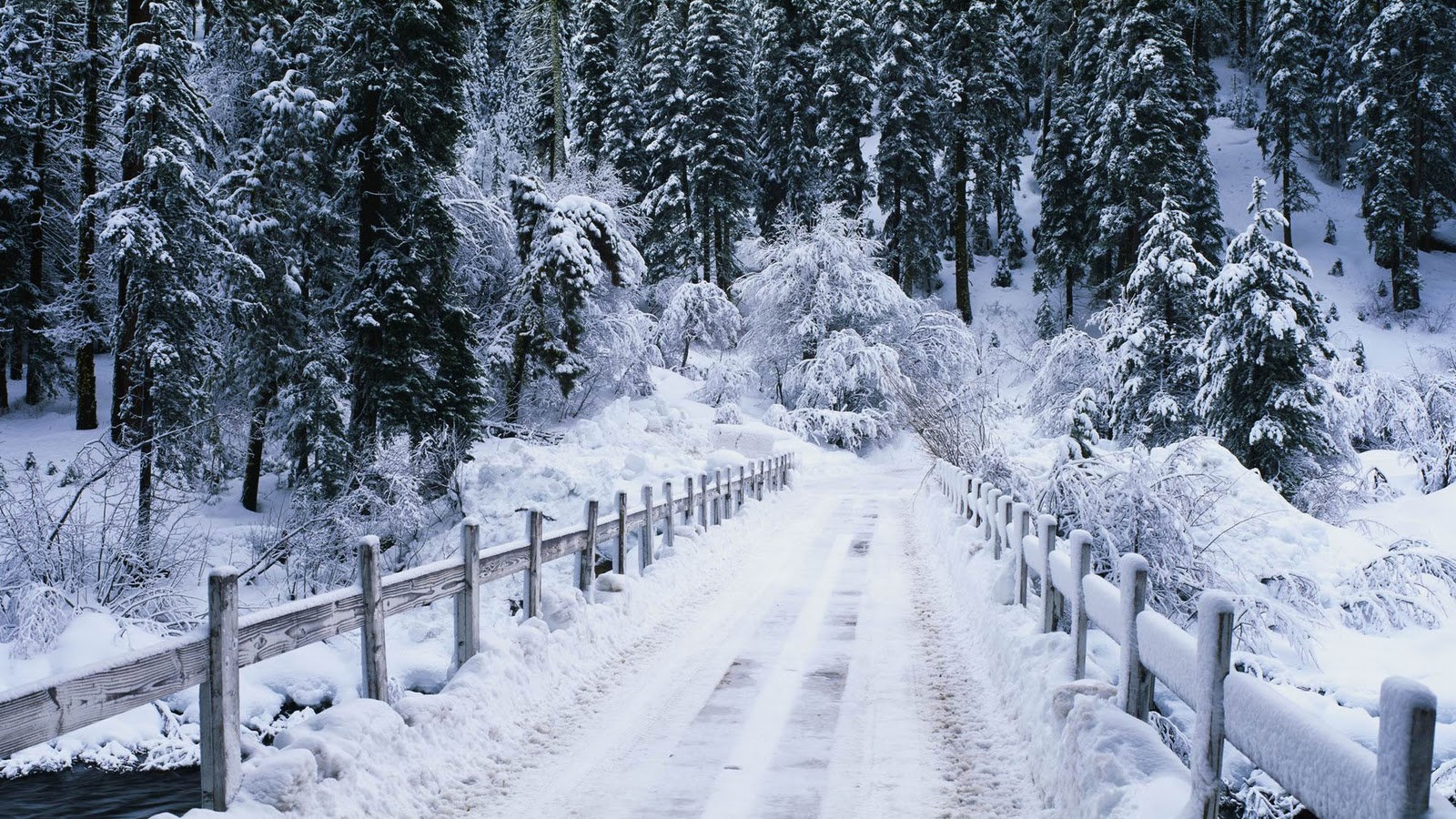 Snow Fall Wallpapers, 100% Quality Hd Pictures - 1600x900 Wallpaper - Snow Fall Wallpapers, 100% Quality Hd Pictures - 1600x900 Wallpaper -