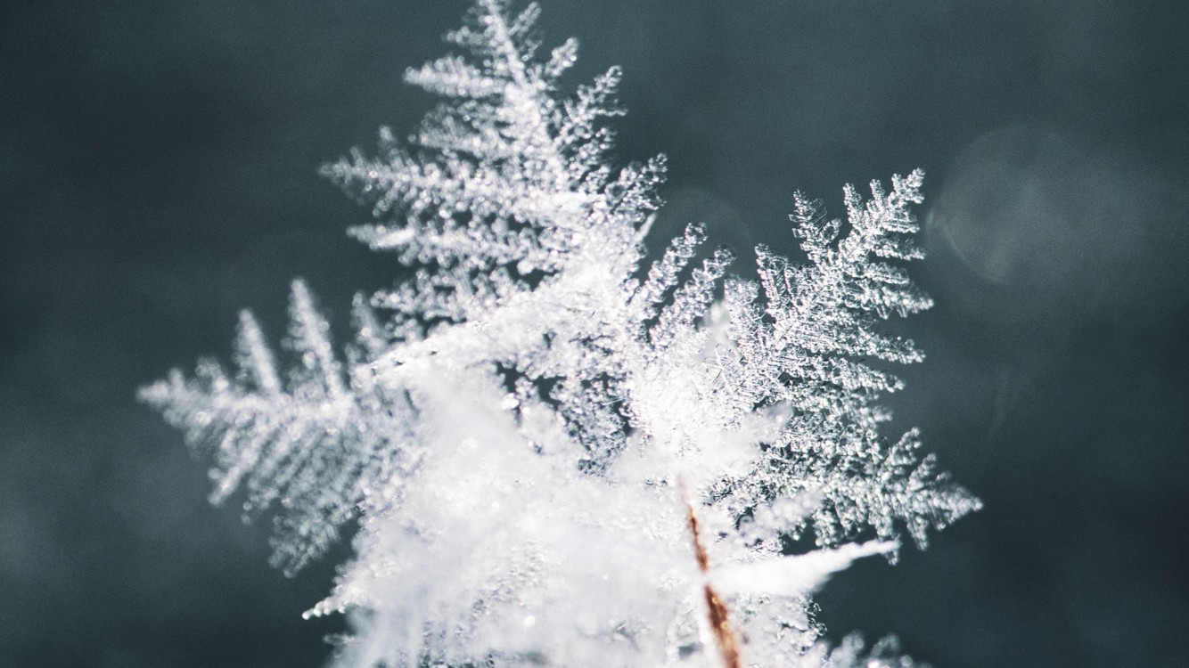 Snowflake Macro Photos Desktop Background - HD Wallpaper 