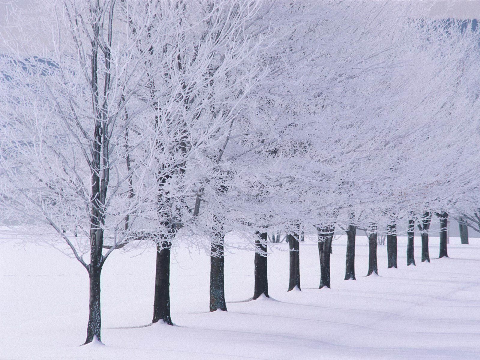 Examples Of Winter Season - HD Wallpaper 
