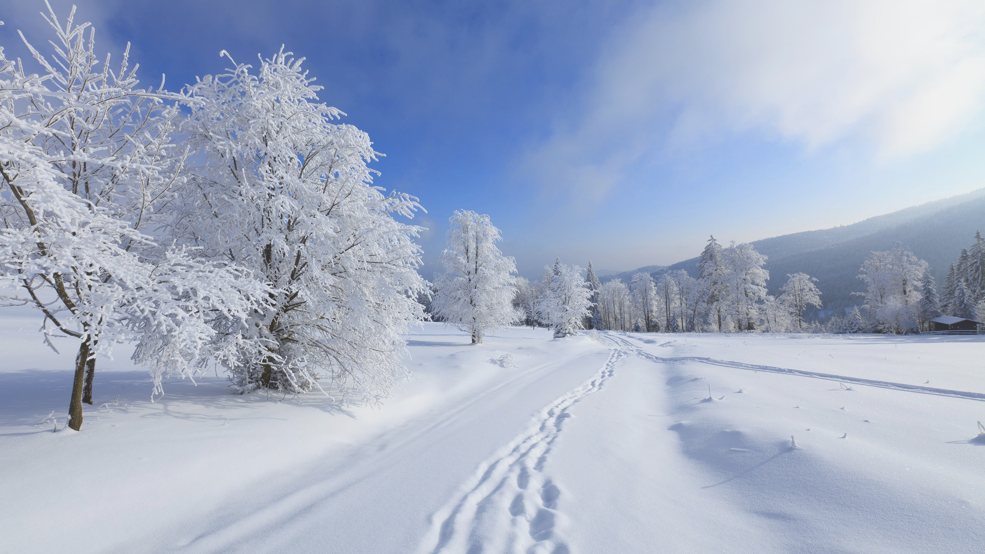 1920x1080, Snowfall Wallpaper Pict Best - Winter Background Images Hd - HD Wallpaper 