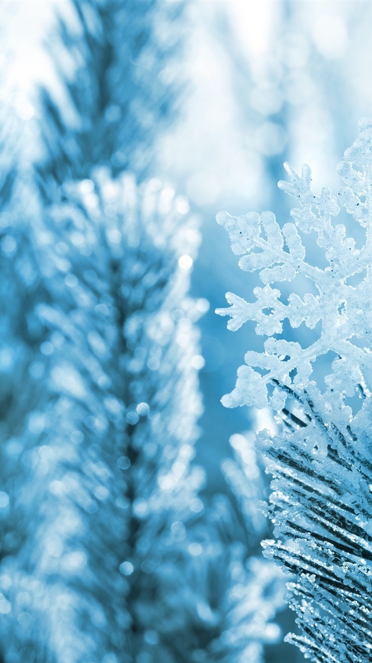 Iphone Wallpaper Snowflake, Pine Needles, Branches, - Snow Nature Close Up - HD Wallpaper 