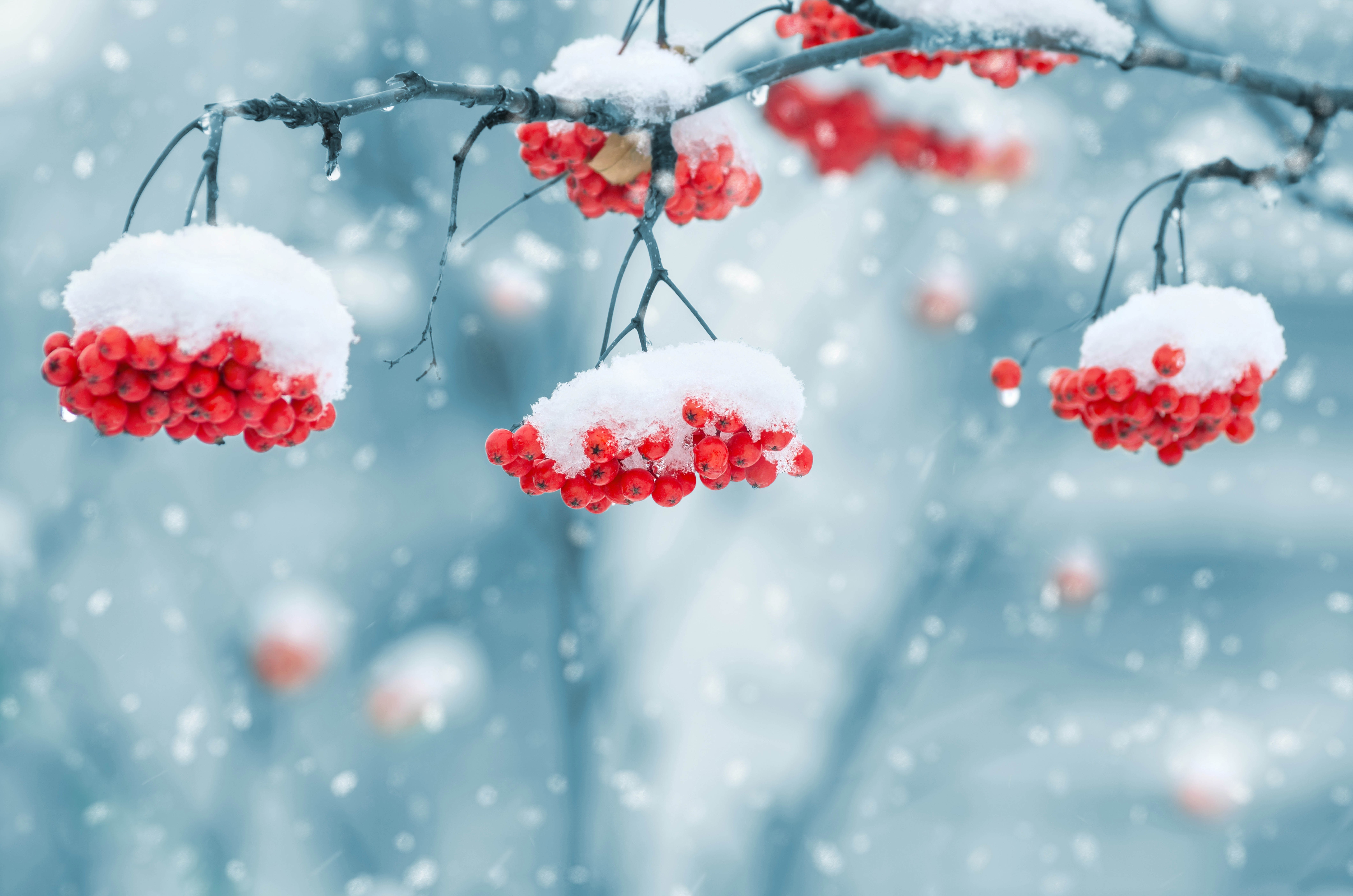 Nature Images Hd Snow - HD Wallpaper 
