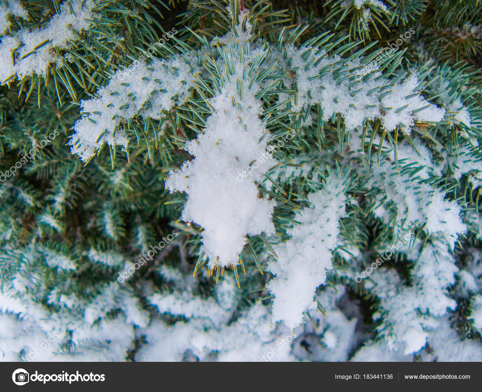 Desktop Backgrounds Nature Snow - HD Wallpaper 