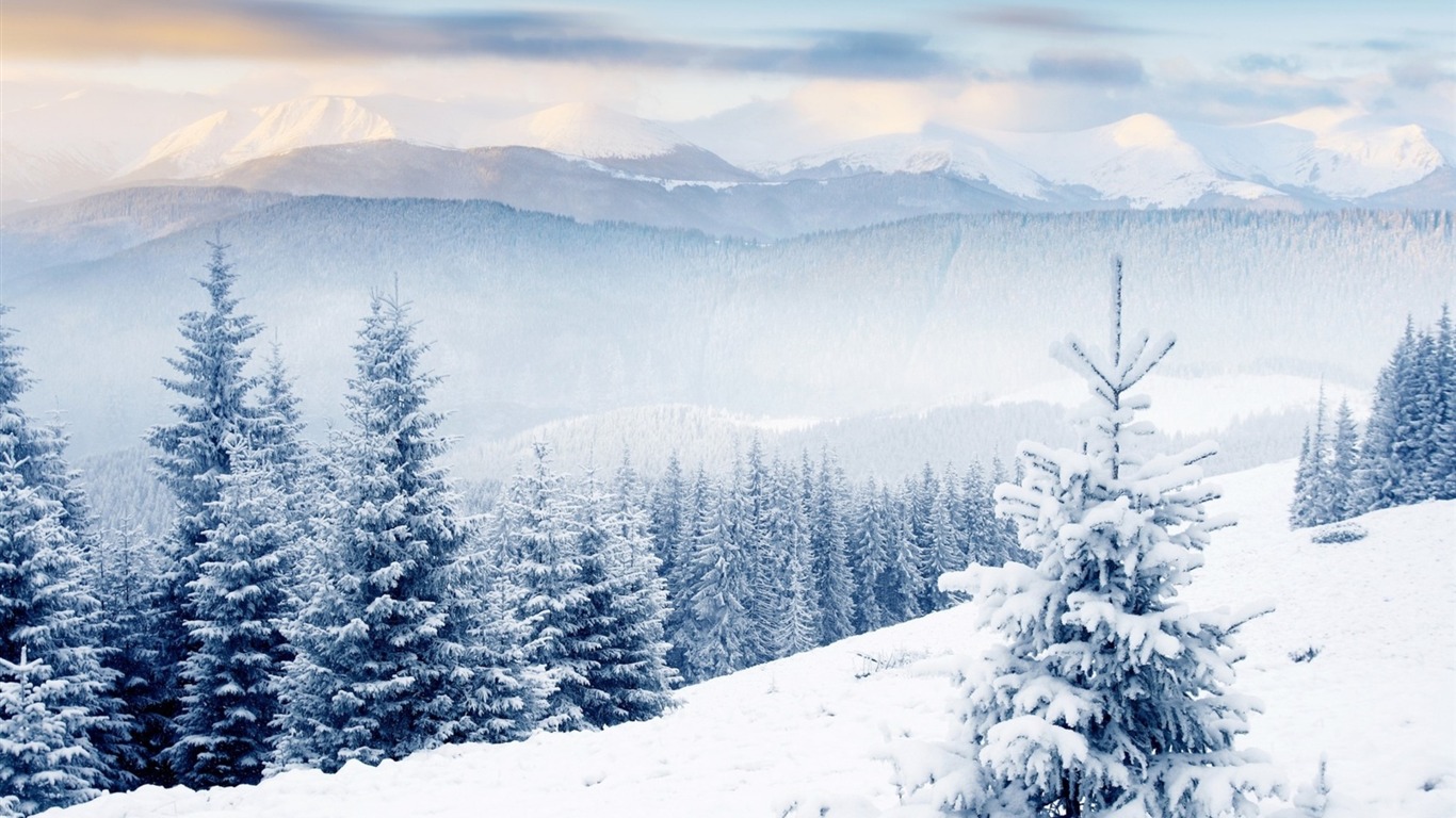 Winter First Snow Landscape Hd Wallpaper - Winter Landscape Desktop Background - HD Wallpaper 