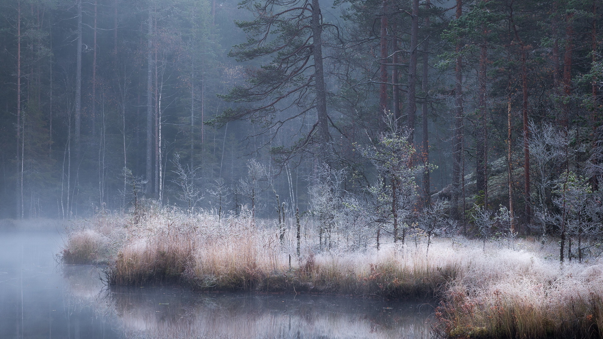 Mobile Phone - HD Wallpaper 