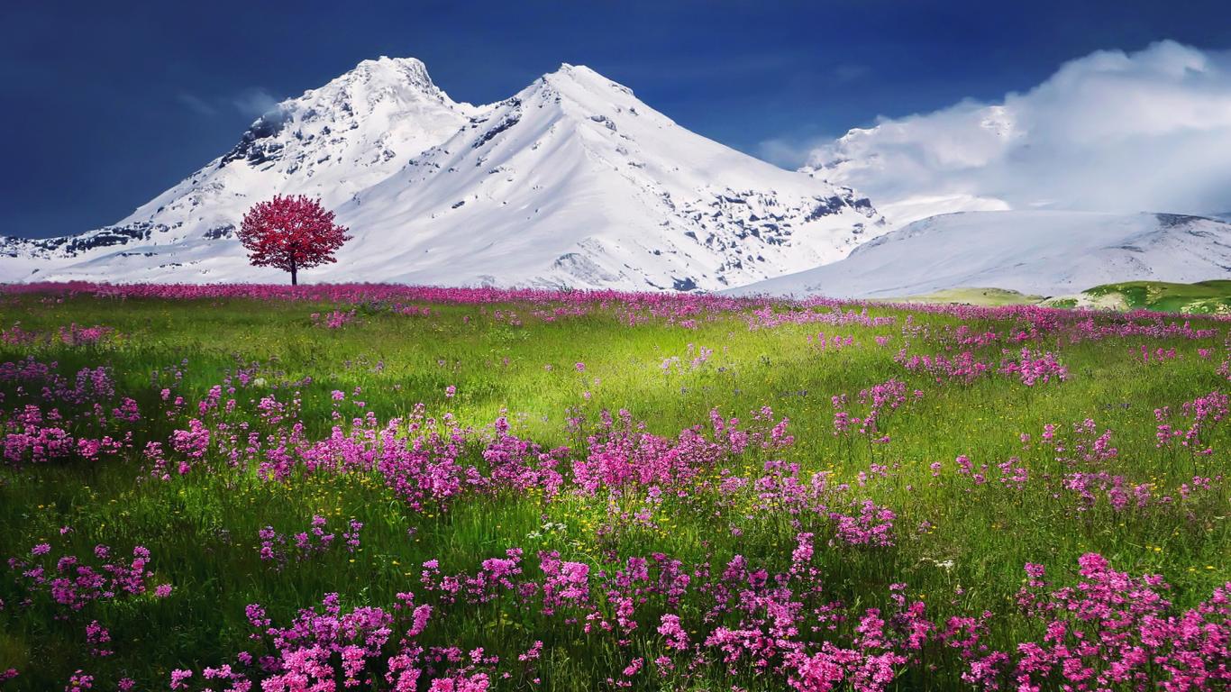 Amazing Landscape Snow Nature Mountain Wallpaper Nature Snow Full Hd 1366x768 Wallpaper Teahub Io