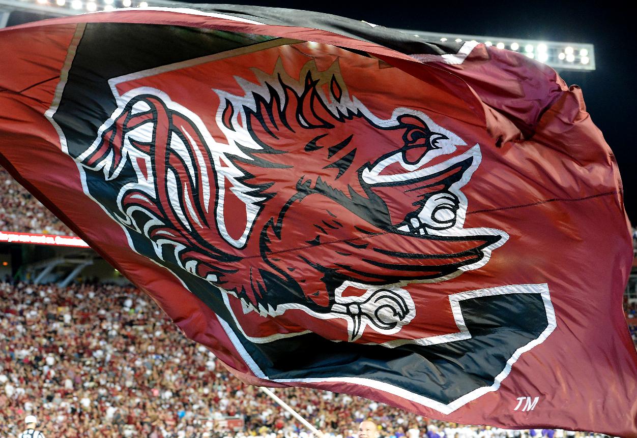 University Of South Carolina - 1252x862 Wallpaper - teahub.io