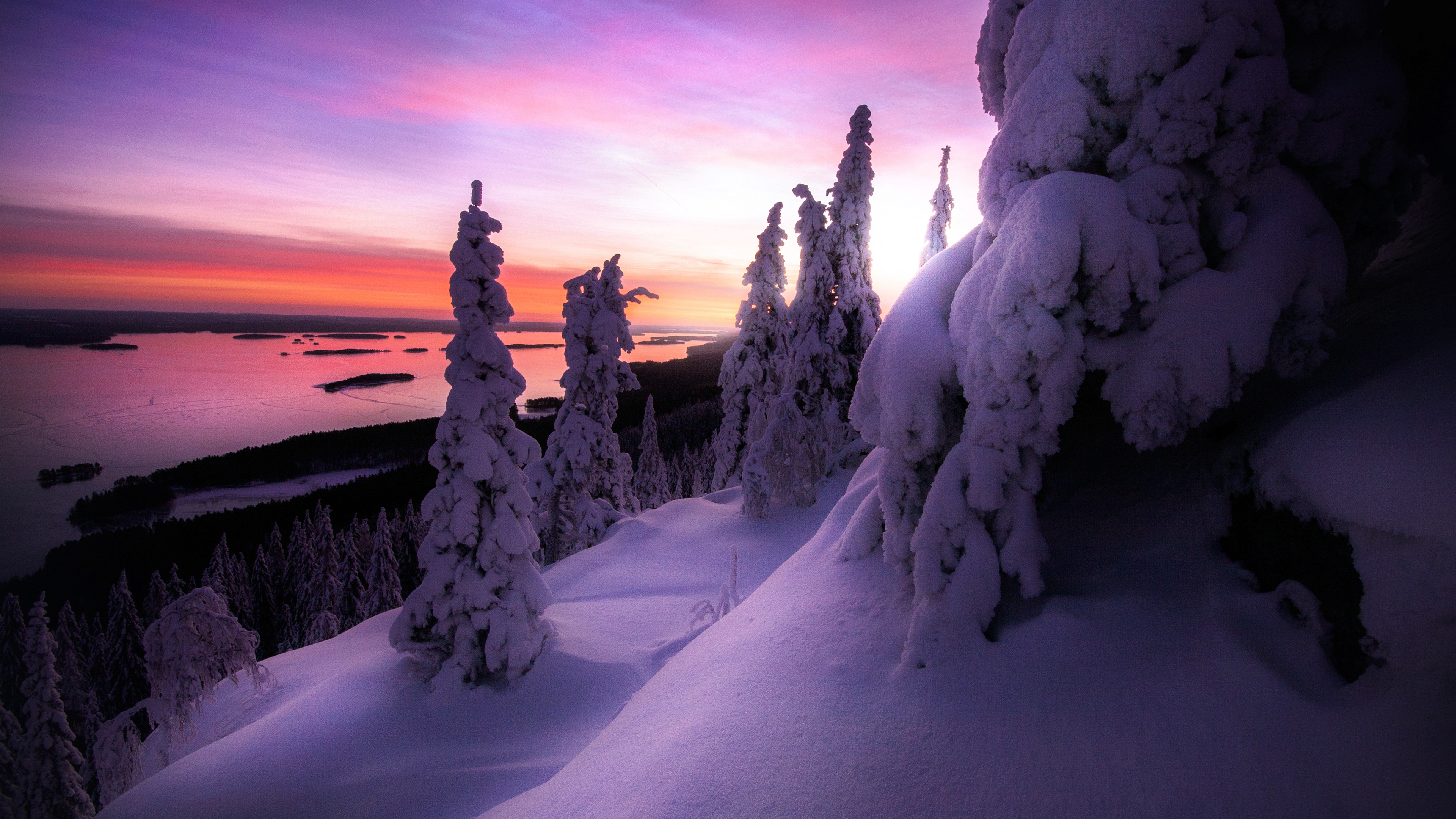 Snow Covered Winter Landscape 4k - Wallpaper - HD Wallpaper 