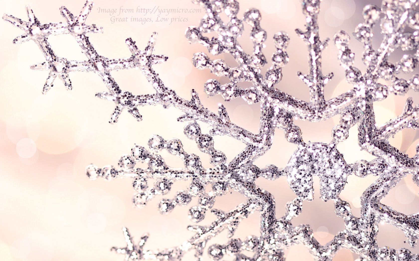 Pascuala Kuhnhardt, Christmas Snowflakes, - Pink Christmas Wallpaper Desktop - HD Wallpaper 
